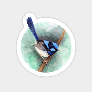 Superb Blue Fairy-Wren by Nadya Neklioudova Sticker